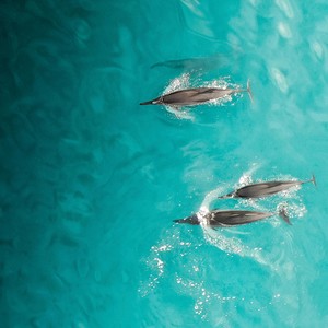 Deep Soaking Worship