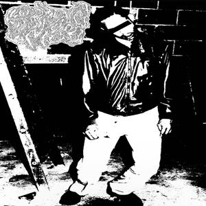 SHUT YO ***** ASS UP!!!!!:3 (feat. GASTRICAL BYPASS) (Explicit)