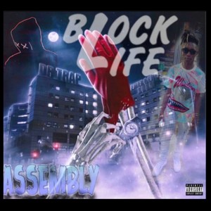 BlockLiFe Assembly (Explicit)