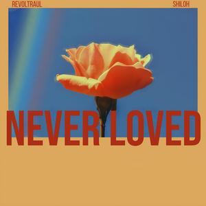 Never Loved (feat. Shiloh)