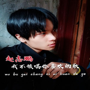 我不该唱你喜欢的歌 (和声版|伴奏)