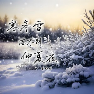 寒冬雪落不到仲夏夜