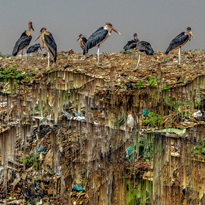 Tewali Sukali (Giant Swan Remix)