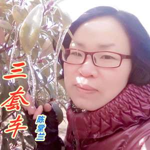 三套车