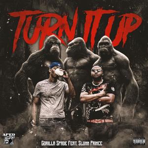 Turn It Up (feat. Slumm Prince) [Explicit]