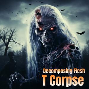 Decomposing Flesh (Explicit)