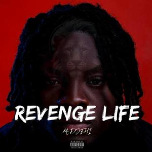 Revenge life (freestyle) [Explicit]