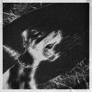 Dobermann(feat. Sox) (Explicit)