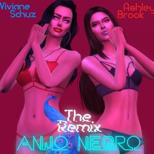 Anjo Negro (the Remix)