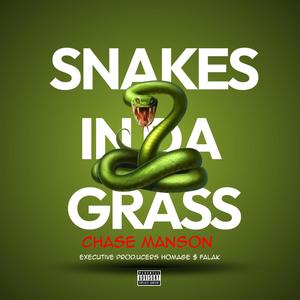 Snakes In Da Grass [Mixtape] (Explicit)