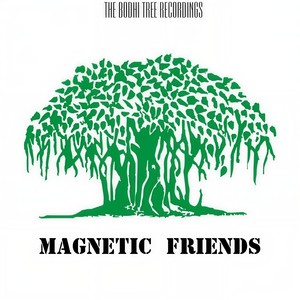 Magnetic Friends