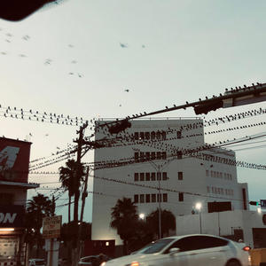 Yerson Flow Belico - EL FLAKO SIERRA