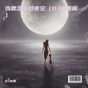 当思念飞过夜空 (DJ小美版)