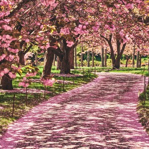 keep going (Explicit)