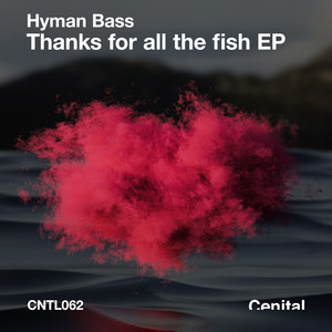 Love Unlimited (Mopa Remix)