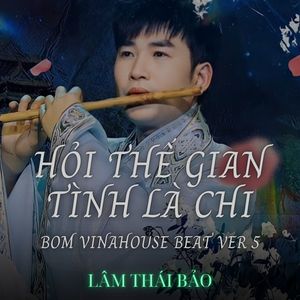 Hỏi Thế Gian Tình Là Chi (Bom Vinahouse Beat Version 5)