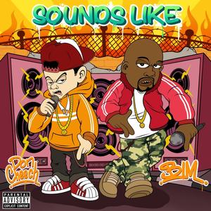 Sounds Like (feat. BIM) [Explicit]