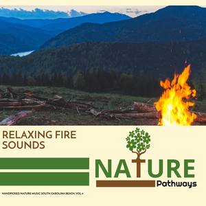 Steady Country Morning Shines