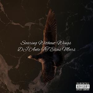 Soaring Without Wings (feat. Elias Mars)