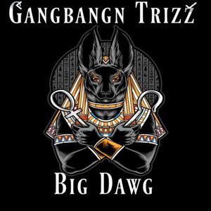 Big Dawg (Explicit)