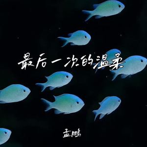 最后一次的温柔-孟鹏