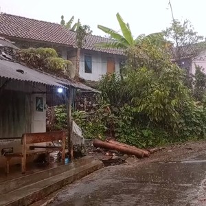 Deep Sleep to the Sound of Heavy Rain