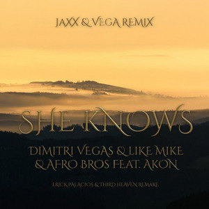 She Knows (Jaxx & Vega Remix)