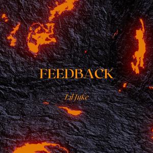 Feedback