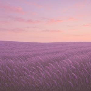 Murmur Field
