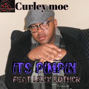 Its Pimpin (Explicit)