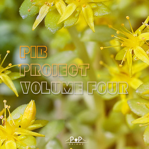 PIB Project Vol.4 (물꽃)