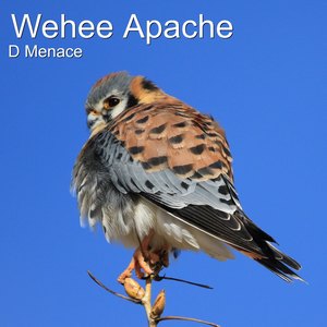 Wehee Apache