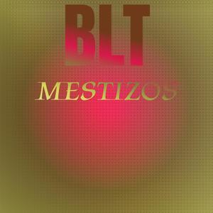 Blt Mestizos