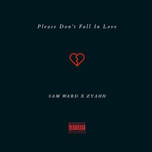 Please Dont Fall In Love (feat. Zyahh) [RnBMix]