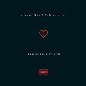 Please Dont Fall In Love (feat. Zyahh) (RnBMix)