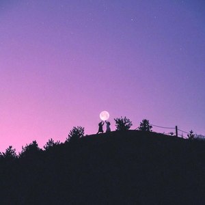 从你的世界路过