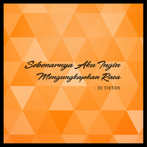 Sebenarnya Aku Ingin Mengungkapkan Rasa