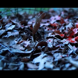 Blood on leaves (feat. Ndaej) [Explicit]