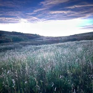 Voices (feat. k4iyaz & aeter) (Explicit)