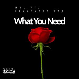 What You Need (Explicit)