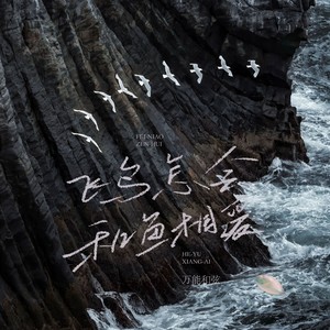 飞鸟怎会和鱼相爱