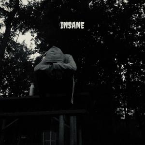 Insane (Explicit)