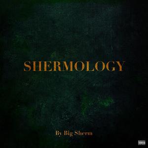 We Are (feat. Zitro, Cartoon Bondurant, Puppet Master, BAMbam the Voodoo Chi7d & Troubled Mindz) (Explicit)