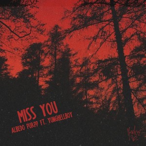 Miss You (Explicit)