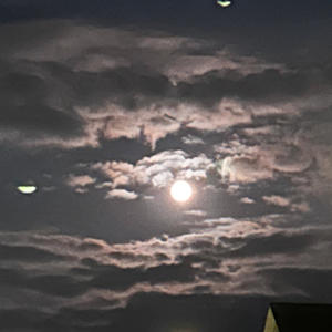 Smooth Talkin (Radio Edit|Explicit)