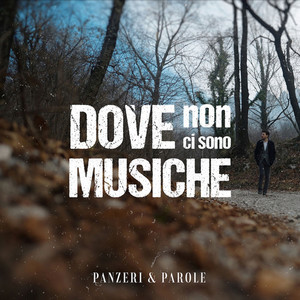 Dove non ci sono musiche