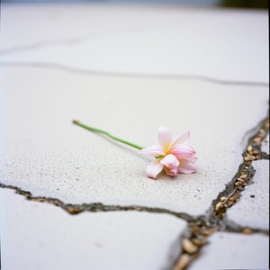 I Have Nothing-Lourenith Grava