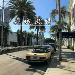 我们的爱情从没有过 (Remix)