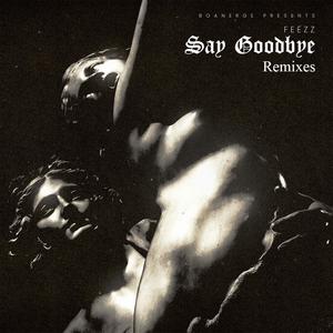 Say Goodbye (feat. Dashtoc) (Dashtoc Remix)