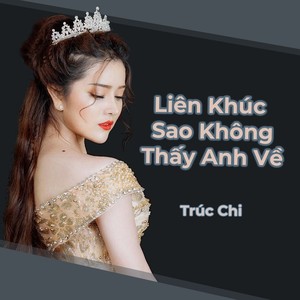 Trúc Chi - Liên Khúc Sao Không Thấy Anh Về